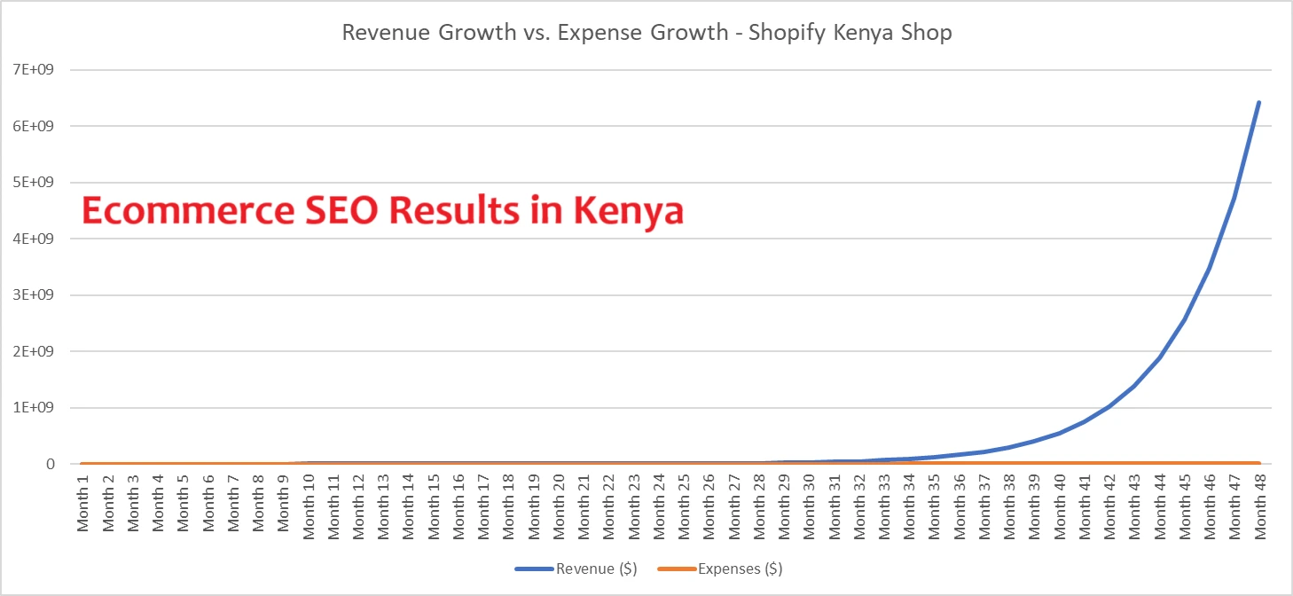 Ecommerce SEO